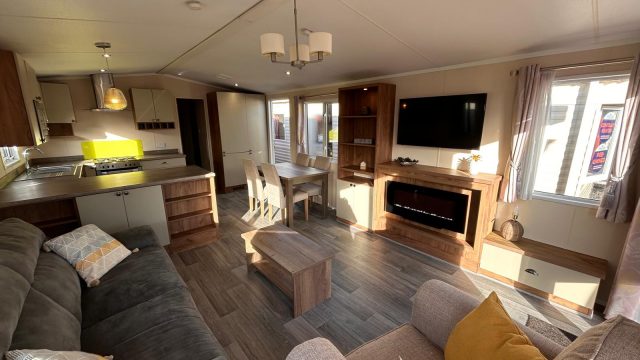 electric fire with tv above