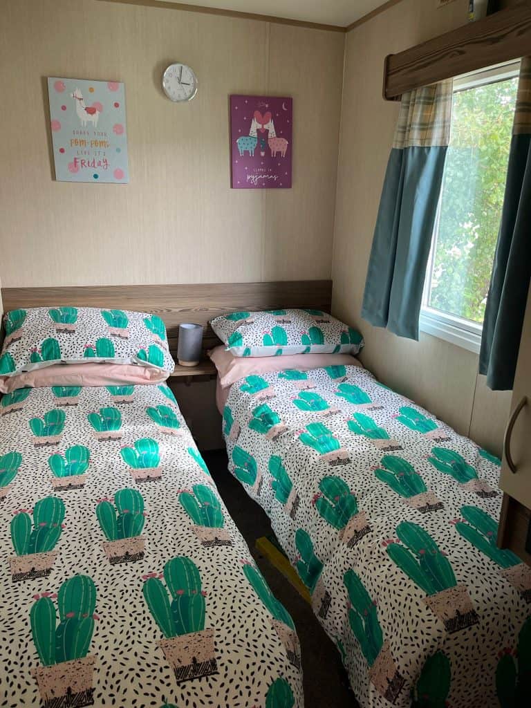 008 Horzion 2017 Twin 2