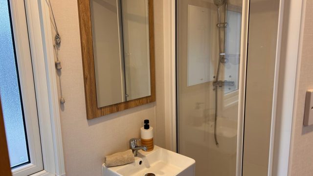 hand basin with mirror next to Shower cubicle