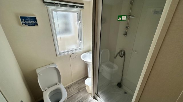 009 Moonstone shower